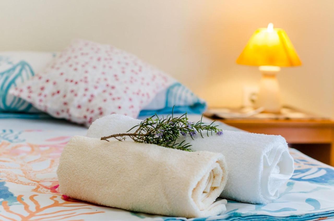 Guesthouse Somnium 察夫塔特 外观 照片